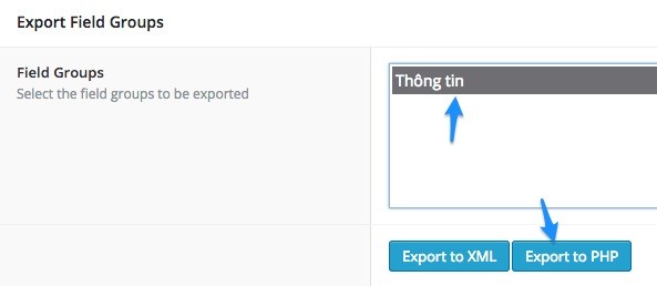 Hướng dẫn Advanced Custom Field (ACF) 38 acf-export02